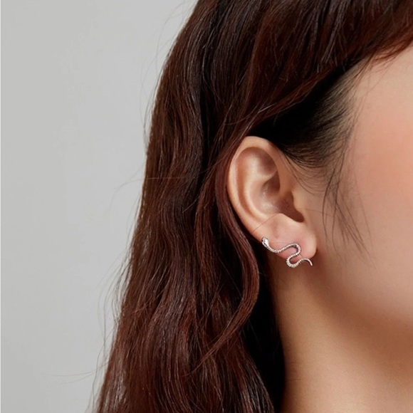 925 Sterling Silver Snake Studs Punk Earrings, Unisex Hypoallergenic Earrings - Picture 6 of 8